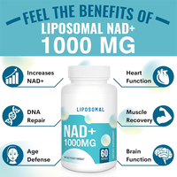 Fabricant de capsules de NAD, fourniture de NAD pur à 1000 mg, meilleurs compléments de NAD avec certificat de pureté, prix de gros