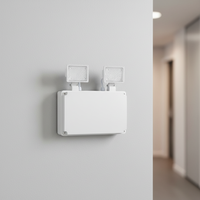 Projecteur LED d'urgence extérieur étanche IP65 1000LM avec batterie de secours de 3 heures pour la sécurité en cas de panne de courant
