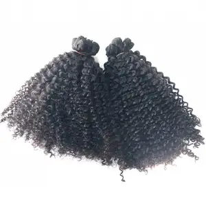 Rohes vietnam esisches Haar Burmesisches lockiges Haar Tangle Free Shedding Free Hair Weaves