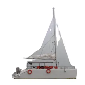 Bestyear Catamaran S33c 보트 세일링 보트