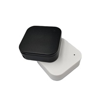 AnkhMaway Bluetooth5.0 Balise longue portée Capteur d'accéléromètre étanche Eddystone ibeacon