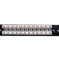 Panel Patch RJ45 Keystone Kosong Model Cat5e UTP Tanpa Pelindung 24 Port 1U 19 Inch untuk Rak