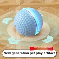 Interaktives intelligentes Katzen spielzeug mit Bewegungs sensor und LED-Licht für Indoor-Spiel und Haustiers paß