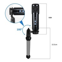 Microphone à condensateur de studio professionnel grande cartouche à diaphragme avec support de bras de ciseaux de filtre de montage de choc