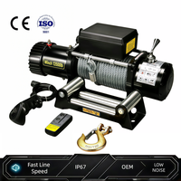 Treuil électrique OEM à moteur en cuivre pur 12V 24V DC, antidérapant, pour freinage automobile, capacité de levage 2 tonnes, pour atelier, entrepôt, ferme