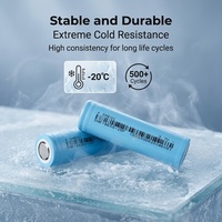 DMEGC 18650-25P 2500mAh 10C Sel Silinder NMC High-Drain 3.7V Baterai Lithium-Ion Isi Ulang dengan Pengosongan Kontinu 30A