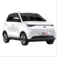Lancement d'un nouveau produit Véhicule électrique à basse vitesse à propulsion arrière fabriqué en Chine