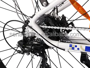 US Warehouse Only Ebike Mountain Bike 24 With Good Price