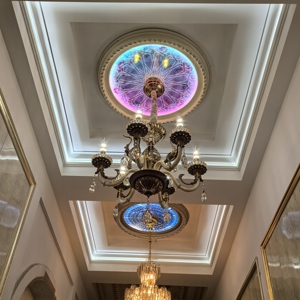 Plafonds suspendus artistiques modernes en métal LED de luxe Banruo, bande décorative en <span class=keywords><strong>fibre</strong></span> <span class=keywords><strong>optique</strong></span> dorée, bleu intérieur - Product Image 4