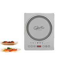 Cuisinière à induction haute puissance en gros, écran tactile, 110 V, chaudière anti-incendie, cuisinière à induction multifonctionnelle pour la maison