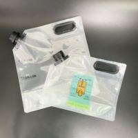 Pochettes personnalisées 2L 4L demi-gallon avec bec verseur pour boissons et eau, avec buse d'aspiration