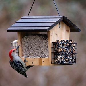 2 <span class=keywords><strong>Suet</strong></span> kafesli hazne besleyici - Product Image 5