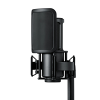 Microphone à condensateur professionnel TNH SM4 à large diaphragme pour l'enregistrement en studio, le streaming en direct et la diffusion