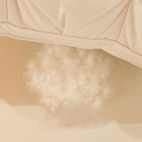 Coussin de lit de luxe en duvet d'oie blanc 95% pour hôtel, insert de coussin 100% duvet d'oie, doux et confortable