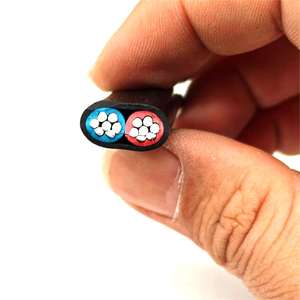 <span class=keywords><strong>Câble</strong></span> isolé en PVC BLVVB <span class=keywords><strong>2</strong></span>*16mm 450/750V Résistant aux hautes tensions Conducteur en aluminium Systèmes électriques robustes -15-70 - Product Image 1