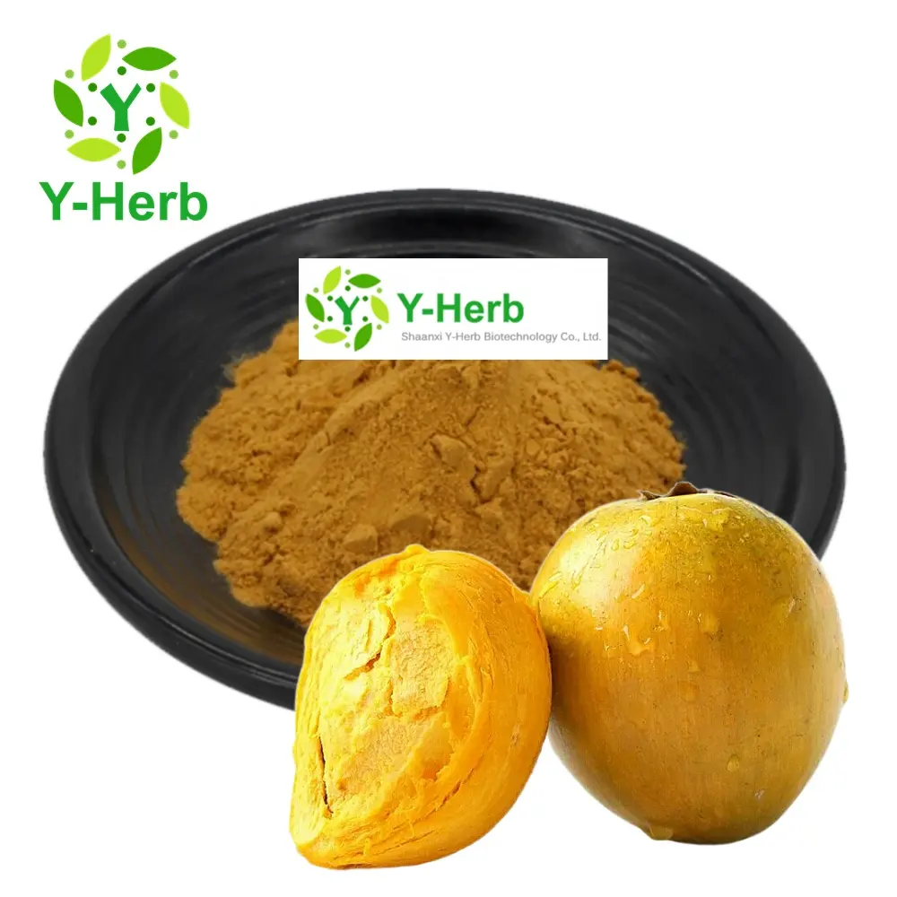 Nhà Máy Giá nước hòa tan Dan Huang Guo chiết xuất 10:1 pouteria lucuma nervosa/trứng trái cây/lucuma chiết xuất