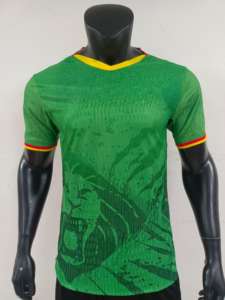 Maglie della Nazionale di Calcio del Camerun per la Coppa del Mondo, 100% Fibra di Poliestere, Asciugatura Rapida, Traspiranti, Stampa a Trasferimento Termico - Product Image 1
