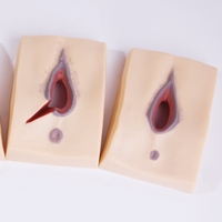 Simulador de Sutura de Episiotomía, Modelos de Vulva para Práctica de Sutura, Simulador de Entrenamiento de Sutura Vulvar, Modelo Anatómico de Vulva para Enseñanza Médica