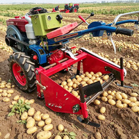 Récolteuse de pommes de terre manuelle avec protection de la peau, garantie 1 an, largeur de travail 600-800 mm - Récolteuse agricole du Yunnan