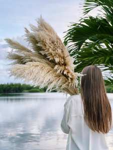 2022 vente chaude <span class=keywords><strong>pas</strong></span> <span class=keywords><strong>cher</strong></span> en gros pampa herbe fleurs séchées vraie <span class=keywords><strong>fleur</strong></span> <span class=keywords><strong>bouquet</strong></span> décoratif avec décoration de la maison multicolore - Product Image 4