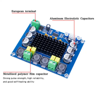 Carte amplificateur audio numérique double canal TPA3116 D2 120W * 2 DC 12V 24V