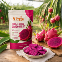 HALAL KOHSER BRC CERTIFICAAT 100% VEGAN Natuurlijke Fruit SNACK Gevriesdroogde Dragon Fruit SMAAK Knapperig Pitaya ODM OEM Private Label