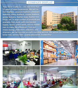 Vente en gros de haute qualité 15-18CM tissu d'habillage à franges en plumes d'autruche plumes artificielles doux et moelleux - Product Image 3