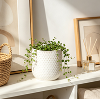 Pot de fleurs en céramique blanc mat à texture gaufrée en forme de points, cylindrique, pour plantes succulentes, décoration intérieure de bureau