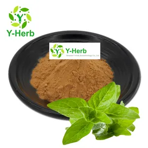 Origanum Vulgare P.E. Bulk Oregano Leaf Oil Powder Organic 10:1 Origanum Vulgare/Origan/Oregano Leaf Extract
