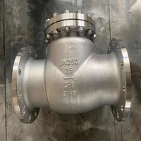 Clapet anti-retour silencieux à ressort en acier inoxydable SS 304 316 pour décharge de pompe, anti-coup de mouche à bas niveau d'eau