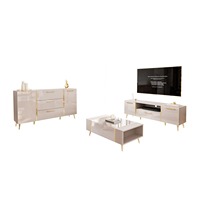 Meuble TV et Table Basse Modulaires de Luxe Scandiniens Modernes Minimalistes Brillants Certifiés FSC, Personnalisables OEM pour Salon