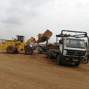 Chargeur de bois à faible entretien de 12 tonnes pour grumes - Product Image 2