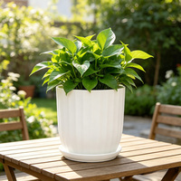 Pot Bunga Hias Taman untuk Dekorasi Dalam & Luar Ruangan Desain Terbaru Pot & Planter Bunga untuk Dijual