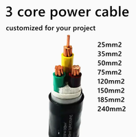Cable Eléctrico de Cobre XLPE con Aislamiento de PVC de Bajo Voltaje 0.6/1kv, 4X95mm2, 4X120mm2, 4X4mm2, 1X150mm2, 1X240mm2