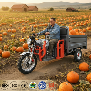 Triciclo Eléctrico de 1000W y 72V, 3090mm de Longitud, 3 Ruedas, Caja de Carga Abierta para Granja y Logística - Product Image 5