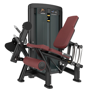 Machine à extensions de jambes en acier pour usage commercial, équipement de fitness pour salle de sport, presse à jambes assise sécurisée Xinrui XZ08 - Product Image 1