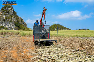 Mini Cosechadora de Caña de Azúcar para Agricultura, Tractor Pequeño para Recolección y Transporte de Caña de Azúcar - Product Image 3