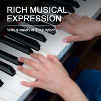 High-End Upright Digital Piano 88-Key Beffa Hammer Action Multilayered Soundboard 3 Pedals Case Professional Style DEMAN