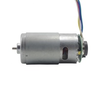 Torsi Tinggi 12 V 24 V Carbon Brush RS-595 Motor DC 500G/Cm untuk Smart Robot