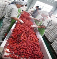Multifunctionele Serie Berry Making Machine Bosbes Aardbei Moerbei Cherry Jam Productie Verwerking Lijn