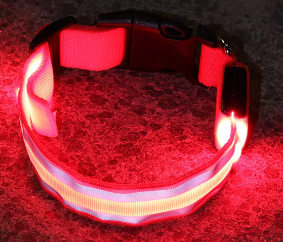 Modèle de batterie rouge
