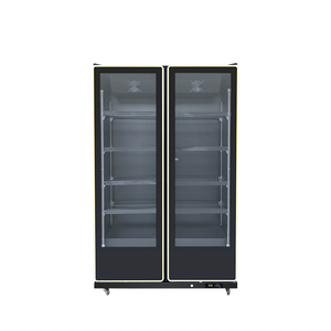 Réfrigérateur commercial vertical à 2 portes avec double vitrage pour boissons, idéal pour supermarchés et cafés - Product Image 1