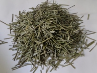 Petit paquet couleur verte nouvelle aiguille de pin thé santé feuilles de pin coupe tisane à vendre