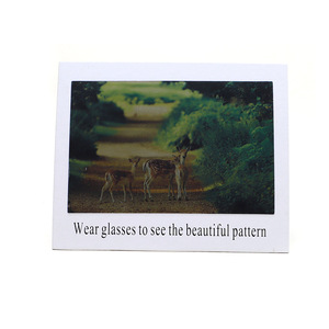 Polar ized Sun glasses <span class=keywords><strong>Tester</strong></span> Test karte für polarisierte Brillen Test karte für polarisierte Brillen Check Paper Accessories Anti-Blue Lens Test karte - Product Image 6