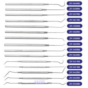 Dental Probe Stainless Steel <b>Toothpick</b> Dental Tools Tooth Hook Needle Pick Oral Instruments - Product Image 1