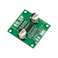 Placa Amplificadora de Potencia Digital Universal de Alta Calidad 2x40W Modelo D503 33x35mm para Módulo Decodificador de Audio MP3 para Automóvil