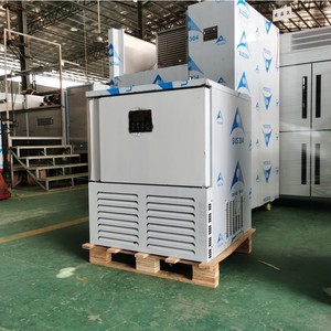 出厂价格商用速冻/冲击室冷却器，带5个平底锅 - Product Image 1