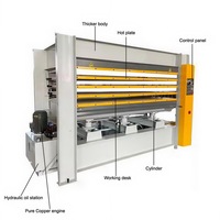 Presse à chaud hydraulique économique pour le travail du bois, certifiée CE, pour la laminage à chaud du placage mélaminé sur les portes en bois, le MDF et le contreplaqué