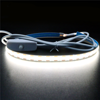 Bande de LED COB Offres Spéciales 5V DC avec contrôleur de commutateur à bouton-poussoir USB 3000K 6000K CE ROHS Bandes de LED flexibles certifiées