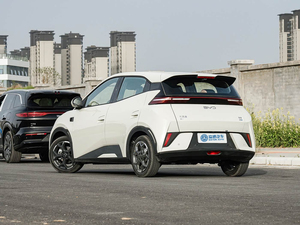 BYD Smart Drive 2025 Usado, Hatchback Eléctrico Inteligente de 55kW, BEV, Volante a la Izquierda, 4 Plazas, Coche Urbano Compacto, Edición Gratuita con 305km de Autonomía - Product Image 1